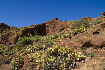 Fototapeta premium Cuatro Puertas complex of caves in the south of the municipality of Telde, Gran Canaria