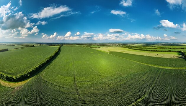 aerial view of a lush green cornfield under a bright blue sky with scattered clouds on a sunny day farm - Powered by Adobe