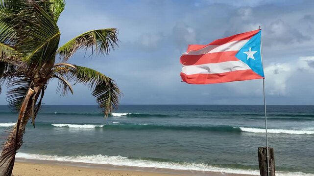 Puerto Rican flag and palm tree blowing in slow motion in the wind at the beach near Isabela on the island of Puerto Rico