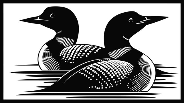 Classic black and white illustration of two common loons swimming. Retro graphic design of aquatic birds in a vintage woodcut style.