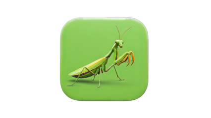 Praying Mantis Posing on Green Background