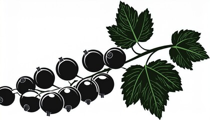 black currant branch with leaves and berries silhouette