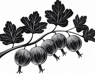 black silhouette of gooseberries on a branch with leaves