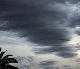 dark fibratus clouds