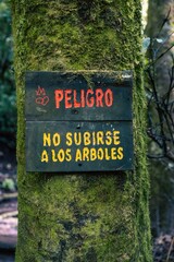 Danger warning sign on a mossy tree trunk in a public park, Spanish text prohibiting climbing trees for safety.