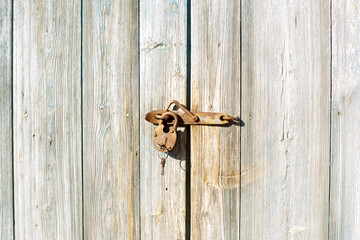 Free range domestic chickens walking outdoors in winter farmyard representing happy rural life and ethical farming