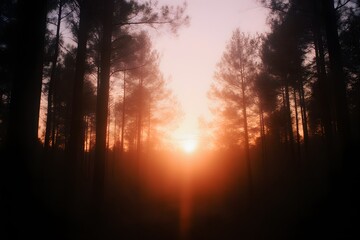 Naklejka premium Bright sunlight peeks through the dark forest trees in warm hues