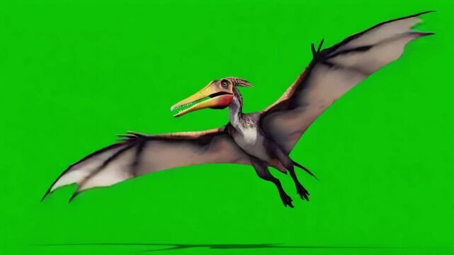 Flying pterosaur with open wings against green background