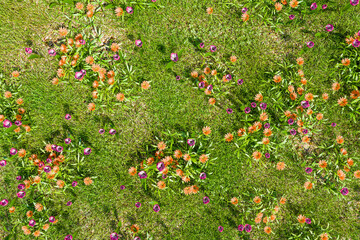 爽やかな春のイメージ