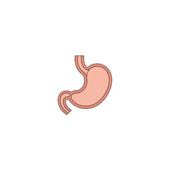 Human Stomach Internal Organ Anatomy Vector Illustration