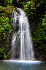 Le SDG waterfall in Martinique, France. The Saut du Gendarme waterfall is a splendid tourist spot in Martinique.