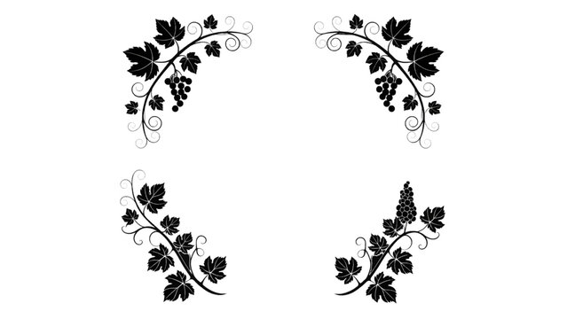 Vector illustration of decorative grape vine corners on transparent background