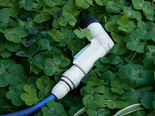 家の庭の芝生と散水用ホースとノズルの様子