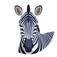 Fototapeta premium Zebra