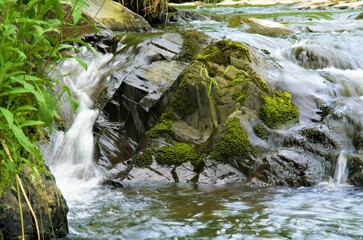 small waterfall in the forest