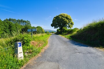길거리, 경관, sky, 네이처, 나무, 경로, 아스팔트, 여름, 목초, green, 농촌, 시골, 국가, 여행, 길, 구름, 간선도로, 들판, 거리, 레인, 공원, 산책로