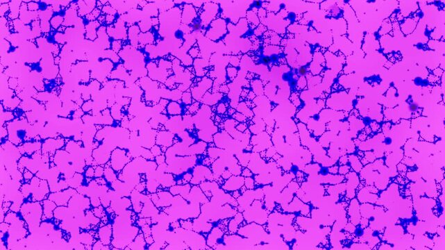 Rich purple abstract texture with organic cracked patterns, perfect for artistic and creative projects.
