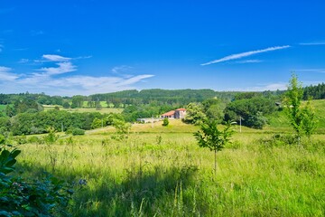 경관, 들판, 네이처, sky, 목초, green, 여름, 목초지, 농장, 농촌, 구름, 경작, blue, 나무, 시골, 봄, 국가, home, h2o, 수평선, 명랑한, 고개, 경치