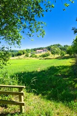 나무, 네이처, 경관, sky, 목초, 여름, 들판, blue, 뜰, 식물, 구름, 공원, h2o, 봄, 경로, 목초지, 일, 농촌, 강, 호수, 길거리