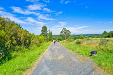 길거리, sky, 경관, 네이처, 나무, 여름, 목초, 농촌, 경로, 국가, green, 들판, 시골, 구름, 길, 여행, 봄, 아스팔트, 목초지, 때, 산책로, 레인