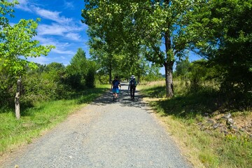 공원, 女, 네이처, 길거리, 부부, 스포츠, 여름, 걷기, 경로, 사이클, 나무, 아웃도어, 국민, 걷다, green, 꼬마, 여행, 가정, 액티브, 생활