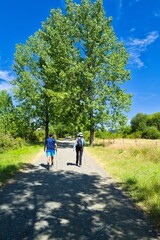 걷기, 공원, 부부, 걷다, 女, 네이처, 국민, 경로, 길거리, 나무, 남자아이, 꼬마, 여름, green, 가정, love, 봄, 스포츠, 시골, 가을, 하이킹, 아웃도어, 산책로