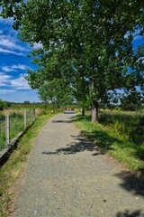 길거리, 경관, 네이처, sky, 경로, 나무, 국가, 여름, green, 농촌, 목초, 시골, 아스팔트, 여행, 들판, 레인, 구름, 때, 길, 산책로, 간선도로, 거리, 고개