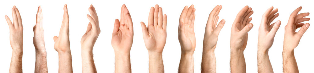 Obraz premium Collection of male hands isolated on white