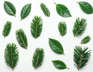 A flat lay arrangement of various green leaves and pine needles on a clean white background.
