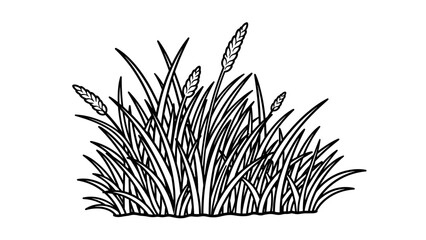 Black and White Illustration of Cattails. © Mila