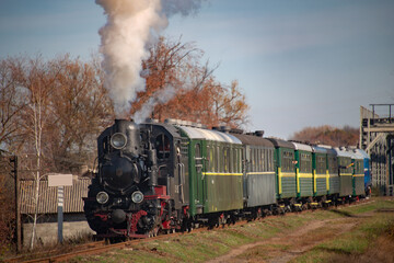 Tourist railway locomotive. Steam locomotive in motion. Local narrow-gauge railway.  © Valerii