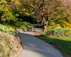 The pedestrian trail in the park in city center with green grass and trees