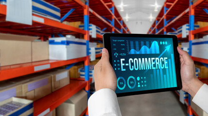 E-commerce data software provide modish dashboard for sale analysis to the online retail business