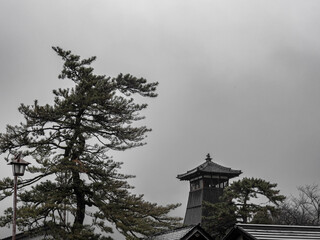 雨の中、兵庫県豊岡市出石町を散策