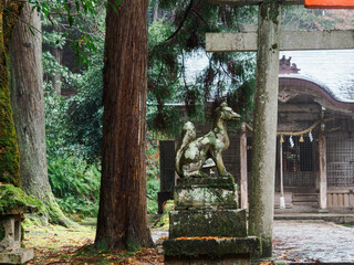 雨の中、兵庫県豊岡市の出石町、出石城址を歩く