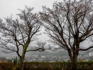 雨の中、兵庫県豊岡市の出石町、出石城址を歩く