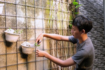 Young Gen Z adult tending plants on a small wall garden at home, showing sustainable lifestyle, urban gardening, and mindful daily routines in a modern living environment.