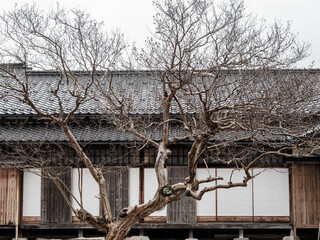 雨の中、兵庫県豊岡市出石町を散策