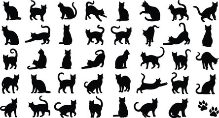 Large set of black cat silhouettes, feline pets in various poses like sitting, jumping, stretching, walking, and animal paw prints, vector. © Mim's World