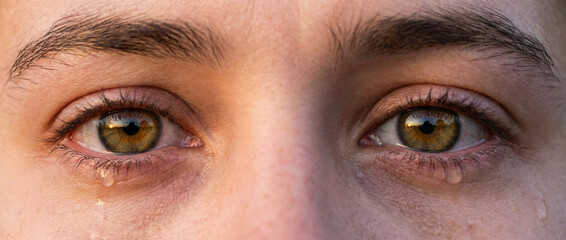 Naklejka premium Close up of emotional human eyes with tears reflecting light in a soulful gaze