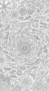 Intricate monochrome illustration depicts a dense, circular arrangement of diverse microscopic marine organisms