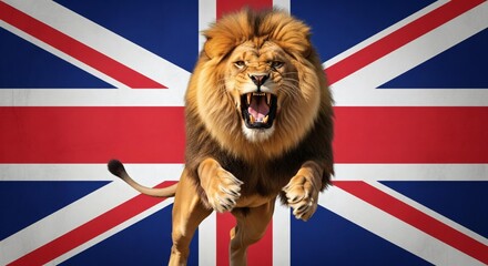Lion roaring and jumping forward in front of the United Kingdom flag. Studio wildlife photography with dramatic lighting. British national symbol and power concept