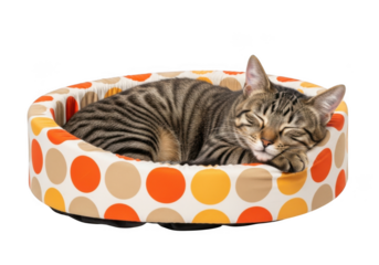 A serene tabby cat sleeping peacefully in a colorful polka dot bed on transparent background