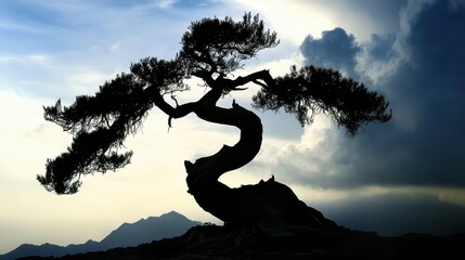 Gnarled ancient bonsai tree branches form a dramatic silhouette against a cloudy twilight sky over hills