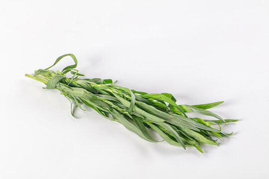 Fresh green estragon aroma stem