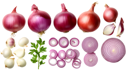Assortment of whole red onions peeled shallots and sliced rings with fresh parsley garnish isolated on black background for culinary use