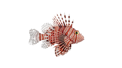 3D Red Lionfish with striking stripes and fins on transparent background