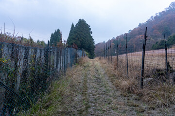 Fototapeta premium Kyoto Trail and surrounding area scenery