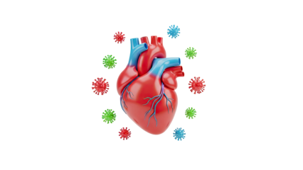 3D Heart and Coronavirus Particles on transparent background