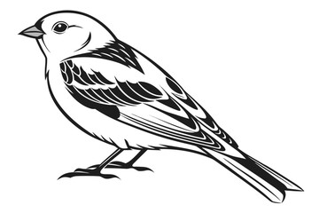 Fototapeta premium Black and White Sparrow Bird Vector Illustration